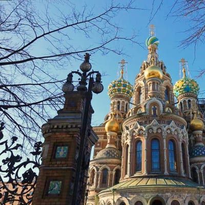 Красиво жить не запретишь. Как искусство правит Петербургом